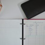 weekly check in tracker | budget tracker | budget printable